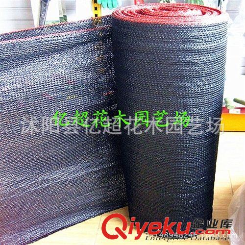 廠家直銷 6針黑色遮陽網 防曬網 pe網 遮陽率是95% 塑料網 農用原始圖片2