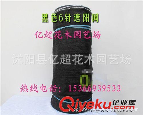 廠家直銷 6針黑色遮陽網 防曬網 pe網 遮陽率是95% 塑料網 農用原始圖片3