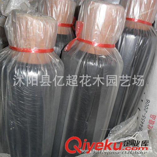 廠家直銷批發(fā)農(nóng)用塑料黑薄膜黑色地膜 白色地膜 除草專用黑地膜