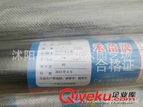 廠家直銷批發(fā)農(nóng)用塑料黑薄膜黑色地膜 白色地膜 除草專用黑地膜