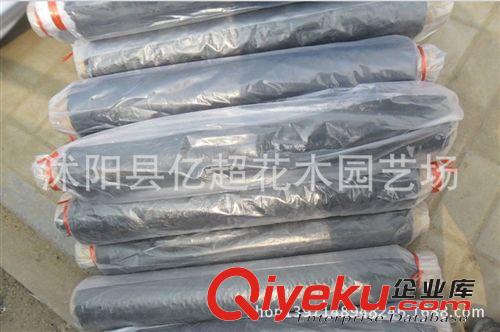 廠家直銷批發(fā)農(nóng)用塑料黑薄膜黑色地膜 白色地膜 除草專用黑地膜
