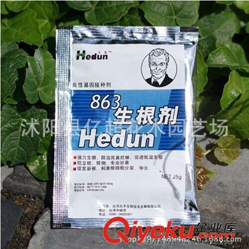 直銷出售 863生根劑 生根粉 強力生根 防治死苗爛根 低溫生根