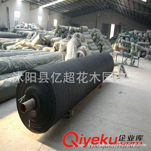 廠家批發遮陽網遮陰網 4針黑色遮陽網抗老化壽命長防曬網塑料網