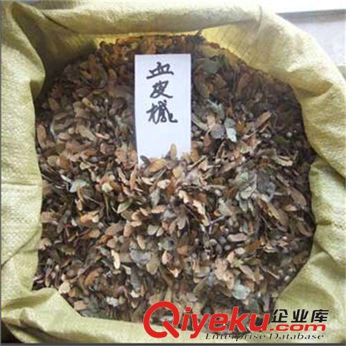 進(jìn)口牧草種子 “牧草{zw}”紫花苜蓿 種子（維多利亞）