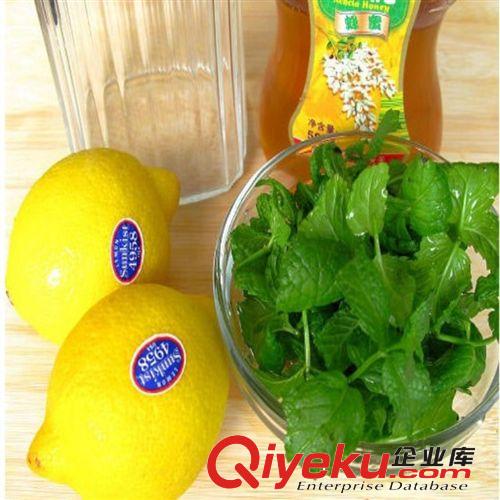 夏季 檸檬薄荷優(yōu)質(zhì)盆栽種子 熱賣香草植物 四季可播 夏季必備