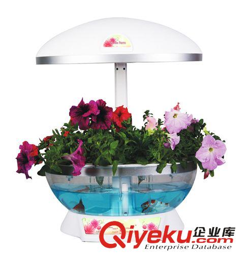 供應新款魔圖農場外貿出口智能時尚室內桌面迷你滴灌花園