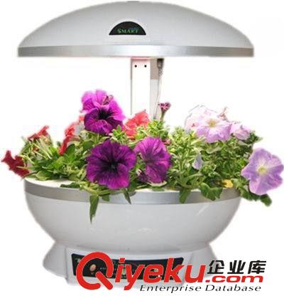 【女孩子喜歡的禮物】gd禮品 個性禮品原始圖片3