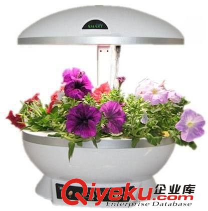 【益智玩具】智能花盆 體驗種植的樂趣