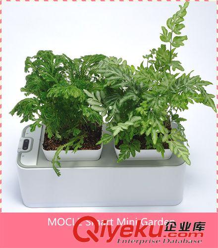 【淘寶爆款直供】歐式迷你花盆原始圖片3