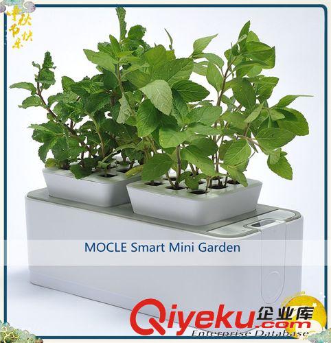 古典家居飾品 古典擺設 新古典風格 復古風格 室內種花 智能花園原始圖片2