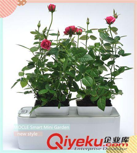 古典家居飾品 古典擺設 新古典風格 復古風格 室內種花 智能花園原始圖片3