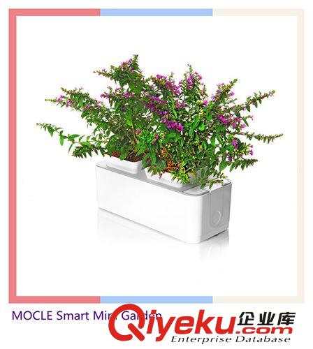 家居裝修飾品 gd禮品 種花種菜種中藥藥材