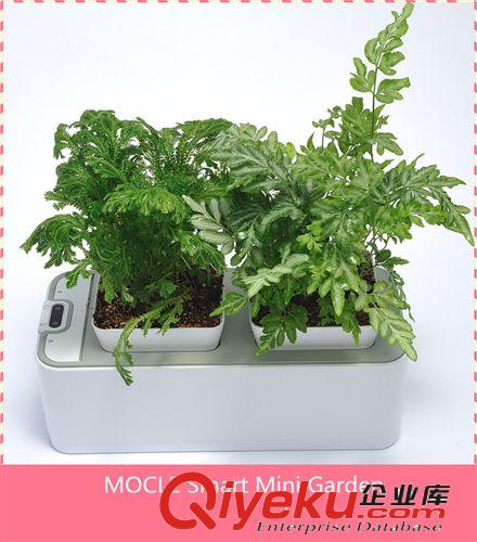 家居裝修飾品 gd禮品 種花種菜種中藥藥材原始圖片3