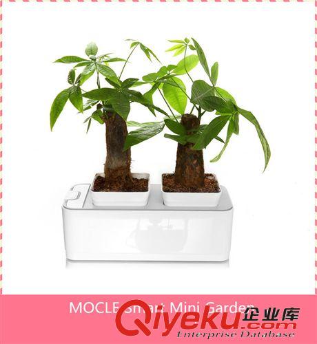 2014最火爆裝飾品 創(chuàng)意兒童智能種植玩具原始圖片2