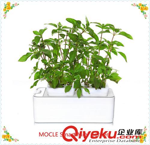 2014最火爆裝飾品 創(chuàng)意兒童智能種植玩具原始圖片3