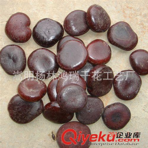廠家直銷2013新收優質青梅種子 品質好，發芽率高