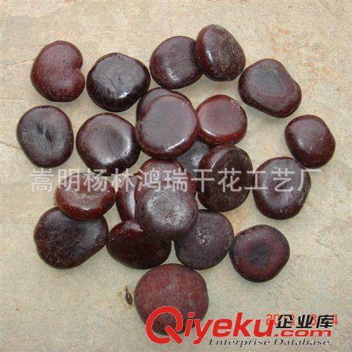 批發供應工藝原料平安豆 羅漢豆原始圖片3