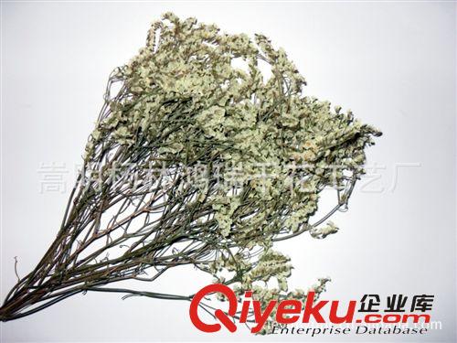 厂家生产 工艺原料水晶花 tr材料 云南tr干花水晶花