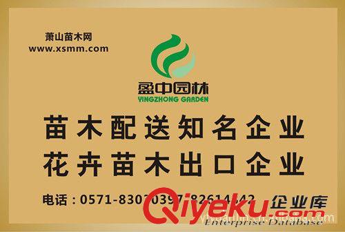 蕭山苗木出口企業(yè)--杭州蕭山新街鎮(zhèn)盈中園林苗圃專業(yè)代理苗木出口