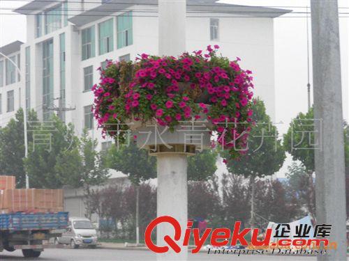 出售立體花盆 13853644105原始圖片3