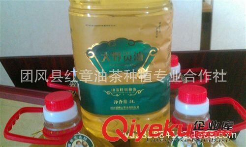 專業(yè)合作社常年批發(fā)優(yōu)質(zhì)大別山野生山茶油原始圖片3