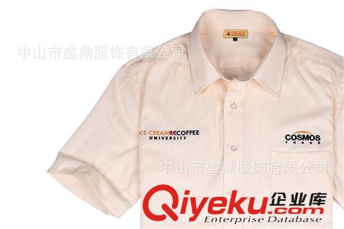 T恤，T-shirt,tshirt,polo,文化衫，男裝，時尚T恤