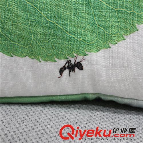 【廠(chǎng)家直銷(xiāo)】印花純植絨抱枕 家居裝飾抱枕 休閑抱枕 可按需定做