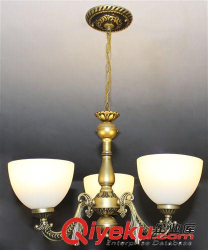 廠家供應(yīng)批發(fā)家居照明吊燈 客廳吊燈吊燈 鐵藝吊燈 燈具 燈飾0741