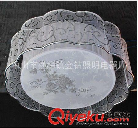 廠(chǎng)家直銷(xiāo)吸頂燈 燈飾燈具 拉絲燈 臥室燈 餐廳燈客廳燈 LED燈4825原始圖片2