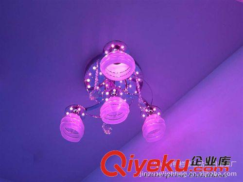 【金鉆照明電器廠】廠家供應(yīng)批發(fā) LED吸頂燈