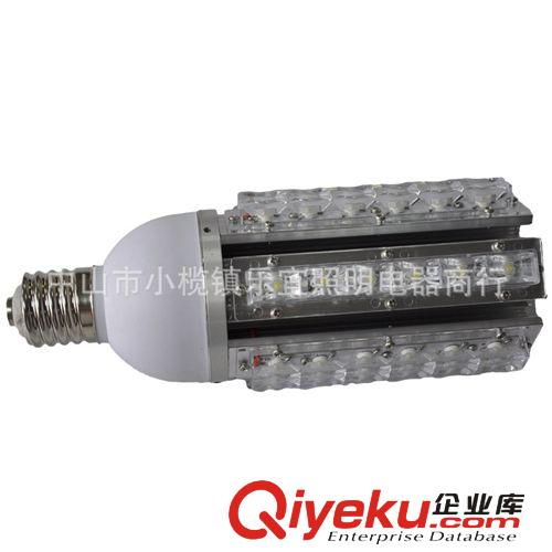 新款LED LED節(jié)能燈 E27 E40接頭 質(zhì)保2年 36W LED玉米燈