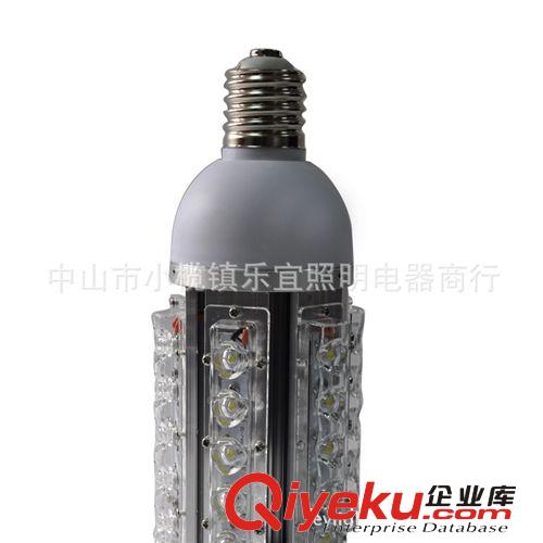 廠家直銷 新款LED gdLED玉米燈 24W LED玉米燈 燈具 路燈 24WB