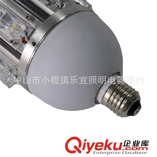 廠家直銷 新款LED gdLED玉米燈 24W LED玉米燈 燈具 路燈 24WB原始圖片3