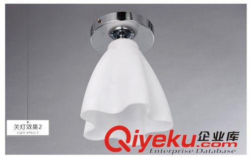 LED吸頂燈具 走廊樓道陽(yáng)臺(tái)玄關(guān)過(guò)道單頭吸頂燈飾 花朵亞克力原始圖片3