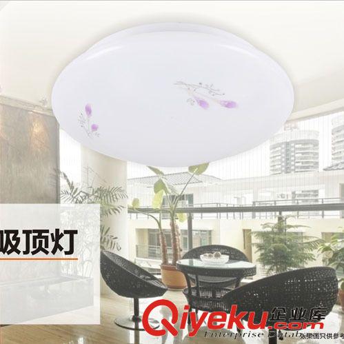 瑞源 led吸頂燈 陽臺衛(wèi)生間廚房燈 led 燈具燈飾 時尚簡約紫百合