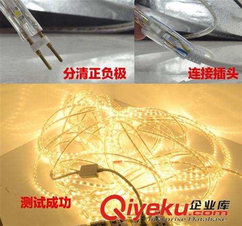 瑞源 LED贴片灯带 高亮220V SMD3528 SMD5050 灯带专用插头 tj