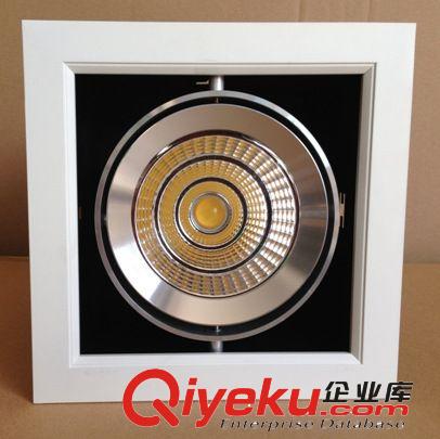 LED斗膽燈外殼 led豆膽燈外殼 格柵燈 30*10W 30W COB白色平斜邊