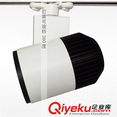 20W/30W典雅型LED集成軌道射燈（代替金鹵燈）服裝店、珠寶店專用原始圖片3