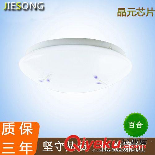 8W/15W/18W現(xiàn)代簡約LED吸頂燈陽臺燈廚房燈衛(wèi)生間燈客廳燈原始圖片3