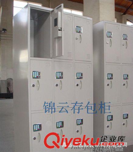 山東廠家供應(yīng) 寄包柜 衣柜 柜子 投幣寄包柜 電子存包柜廠家原始圖片3