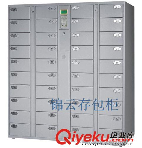 供應(yīng)電子條形碼寄存柜 儲(chǔ)物柜 存包柜 操作簡(jiǎn)單 電子存包柜廠家原始圖片3