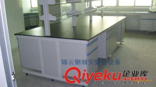 實驗室家具 實驗室設備 實驗臺 全鋼結構高溫臺 廠家直銷