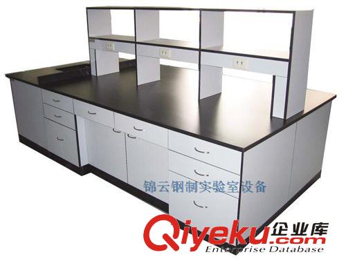 實驗室家具 實驗室設備 實驗臺 全鋼結構高溫臺 廠家直銷