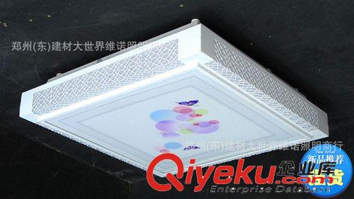 專業(yè)銷售 LED貼片吸頂燈 玻璃臥室燈24W 玫瑰花裝飾吸頂燈 D04