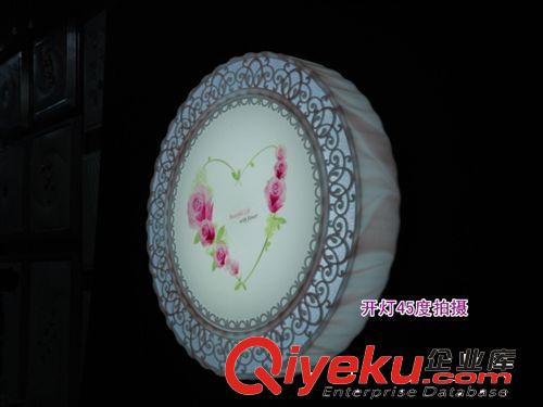 專業(yè)經(jīng)銷 韓式吸頂燈 時尚玫瑰花草燈24W 臥室圓形吸頂燈 2924原始圖片3