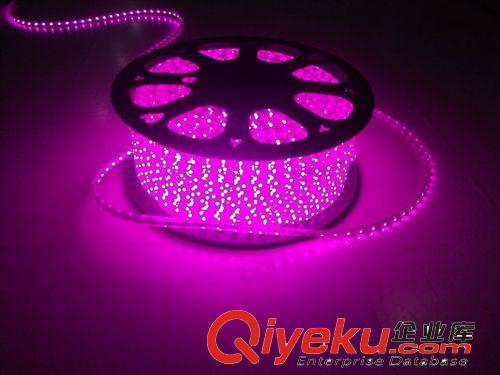 220v LED變色燈帶3528/5050通用七彩RGB控制插頭 線控遙控器