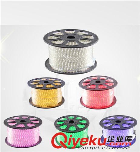專業(yè)供應(yīng) 單色LED軟燈條 5050貼片高壓燈帶 60珠防水LED燈帶批發(fā)