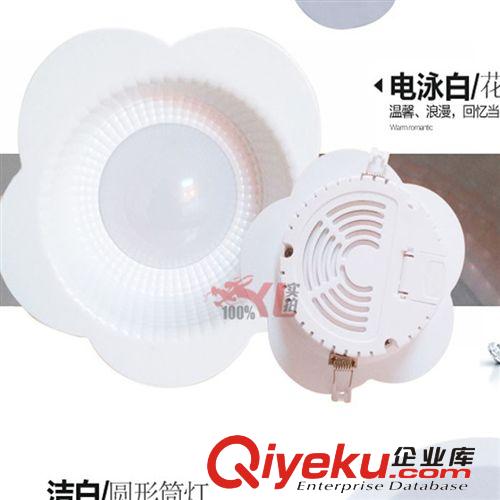 ylled射燈背景墻燈7W12W18W客廳天花燈筒燈節能花形燈具YL-305原始圖片3