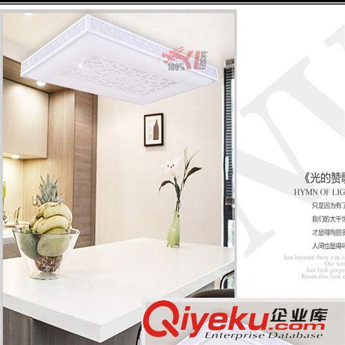 長方形客廳臥室會議室吸頂燈 LED低壓燈 現(xiàn)代簡約客廳燈具YL-911原始圖片3