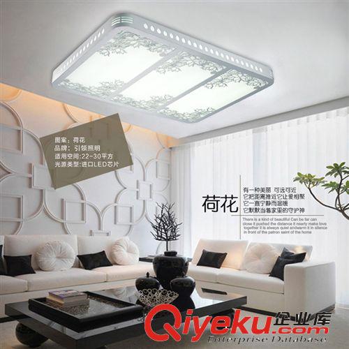簡約客廳燈 led吸頂燈亞克力方形臥室書房燈具 廠家批發ZX026荷花原始圖片3
